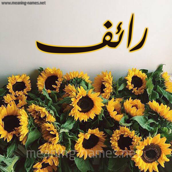 شكل 17 صوره دوار الشمس للإسم بخط رقعة