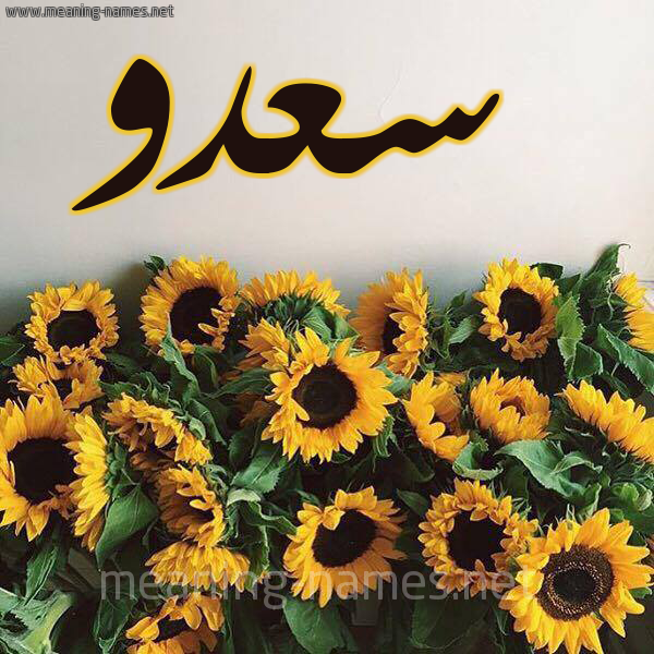 شكل 17 صوره دوار الشمس للإسم بخط رقعة