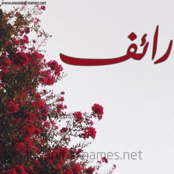 شكل 18 صوره الورد الأحمر للإسم بخط رقعة