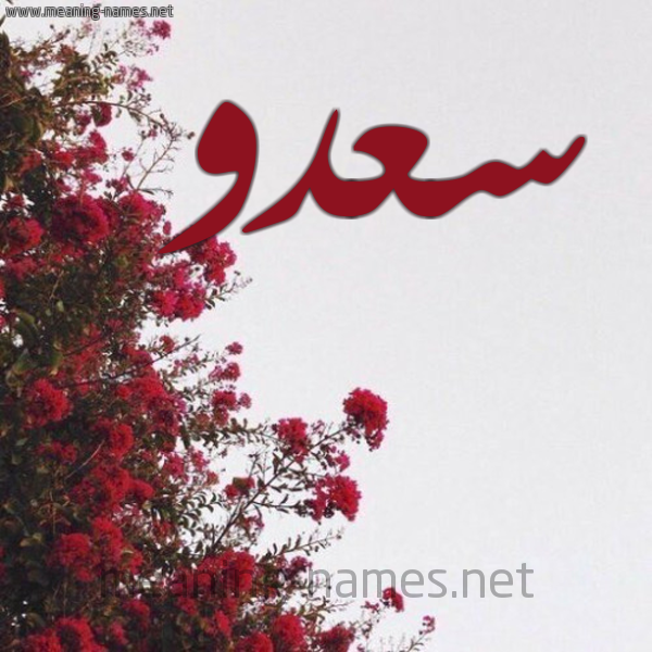 شكل 18 صوره الورد الأحمر للإسم بخط رقعة