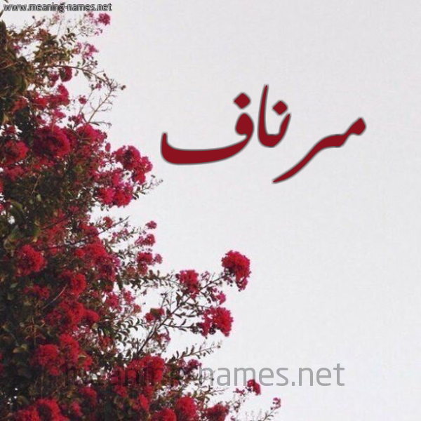 شكل 18 صوره الورد الأحمر للإسم بخط رقعة